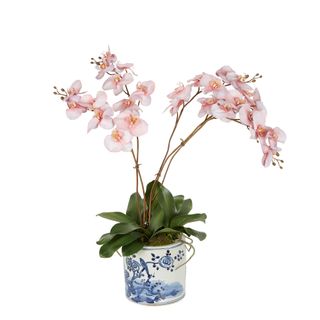 Cheng Orchid Arrangement Pink