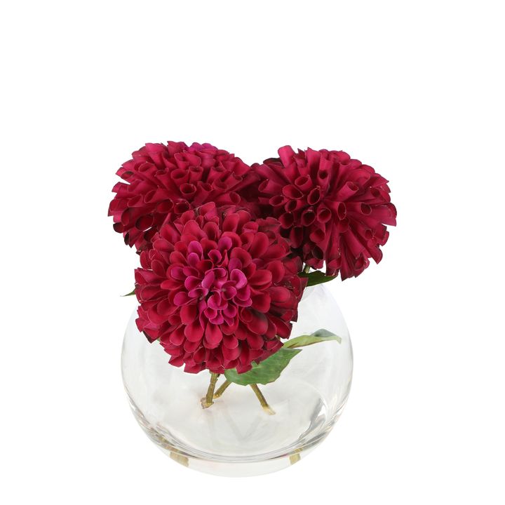 Dahlia Delight Burgundy Arrangement