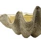 Claudia Clam Shell in Gold L84 cm