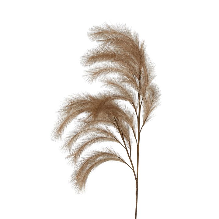 Wheat Rabbit Tail 1.2m Dark Natural