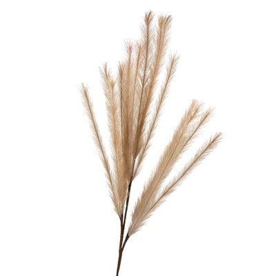 Wheat Rabbit Tail 1.2m Dark Natural