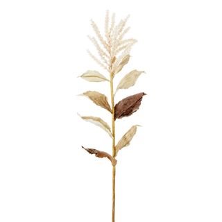 Wheat With Leaves 50cm Stem Cream