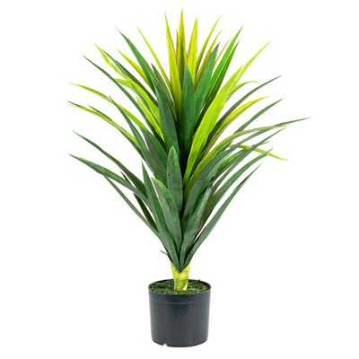 Yucca Plant in Pot 86cm