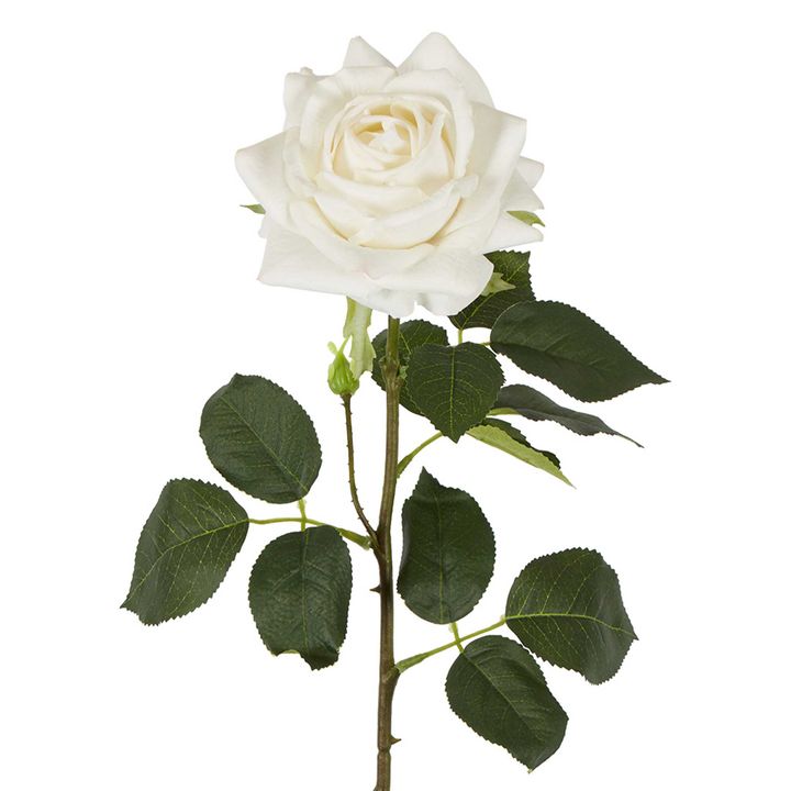 Belle Real Touch Rose Stem 65cm White