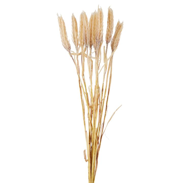 Dried Look Wheat Bunch 60cm Natural
