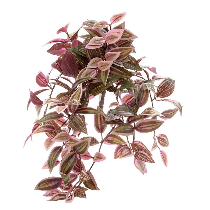 Wandering Jew Bush hanging 50cm Red & Green