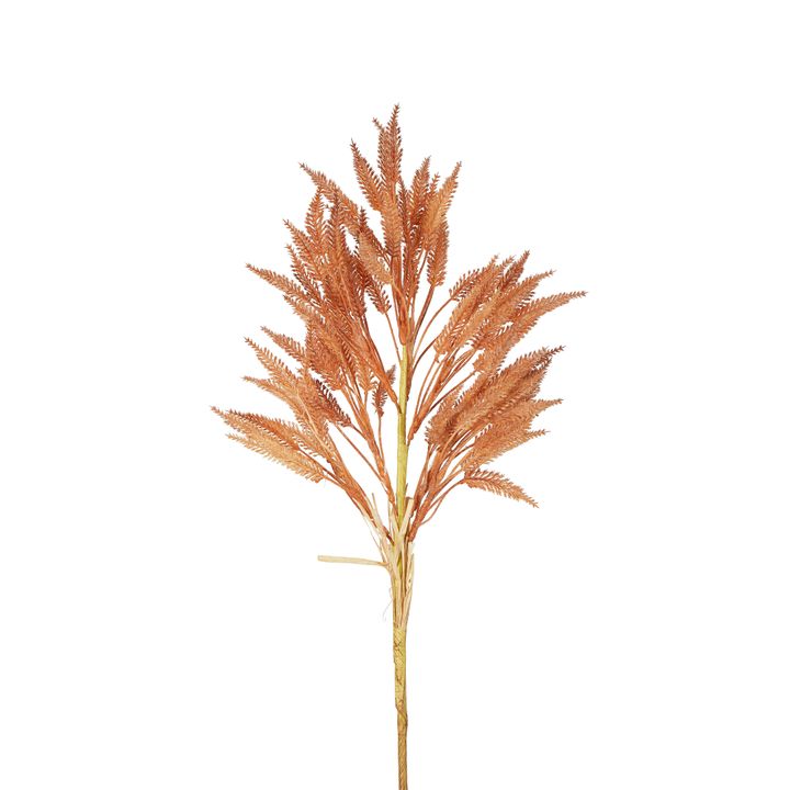 Wheat Stem 66cm Apricot