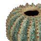 Spiked Cactus Ceramic Moss Vase Green