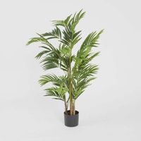 Real Touch Mini Palm Tree In Black Pot 120cm