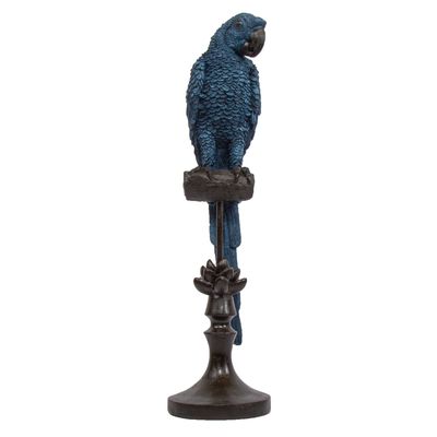 Alexa Parrot Blue