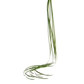 Grass Garland 1.2m Green