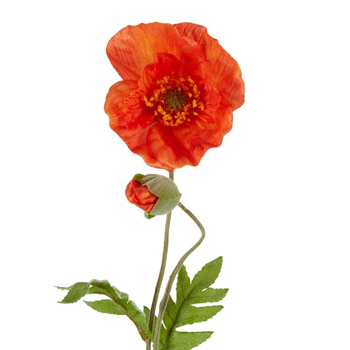 Poppy Stem 68cm Orange