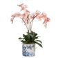 Cheng Orchid Arrangement Coral