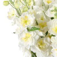 Mandy Delphinium Arrangement White