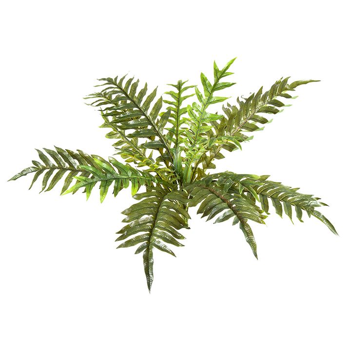 Fern Foot Real Touch 55cm