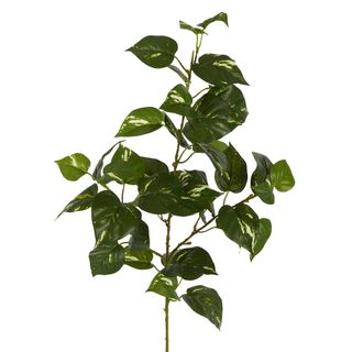 Pothos Leaf Spray Stem Dark Green