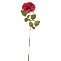 Rose Single Stem 68cm Pink