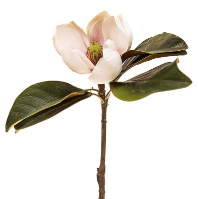 Magnolia Short Stem 60cm Light Pink