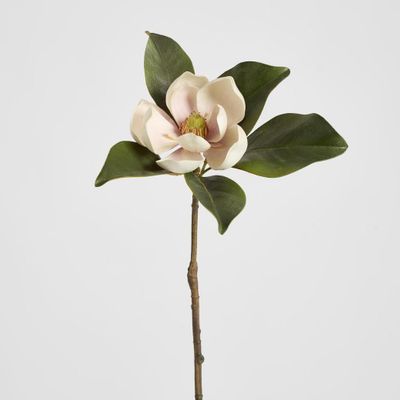 Magnolia Short Stem 60cm Light Pink