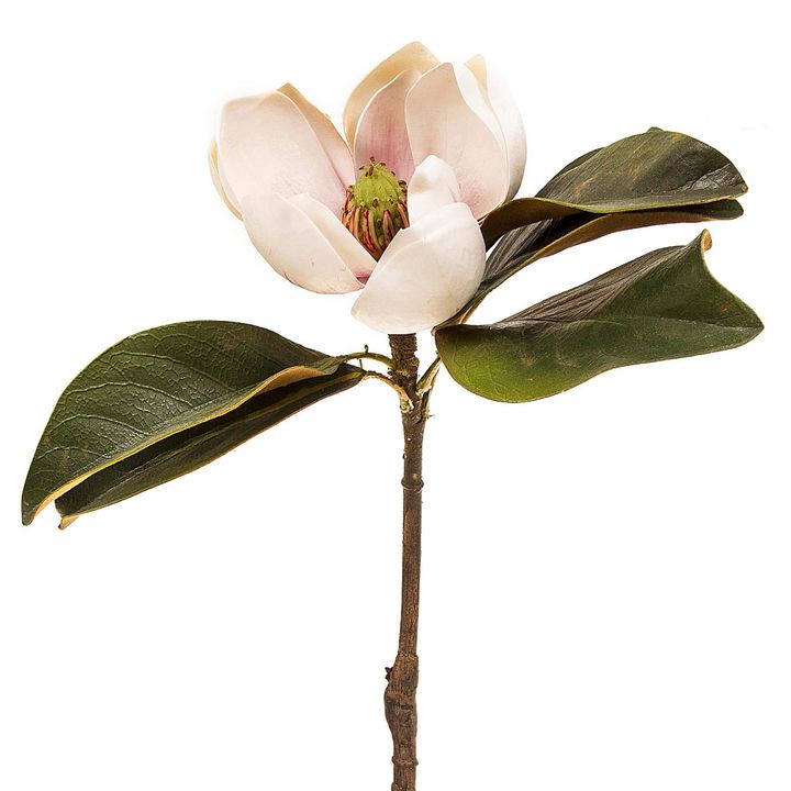 Magnolia Short Stem 60cm Light Pink