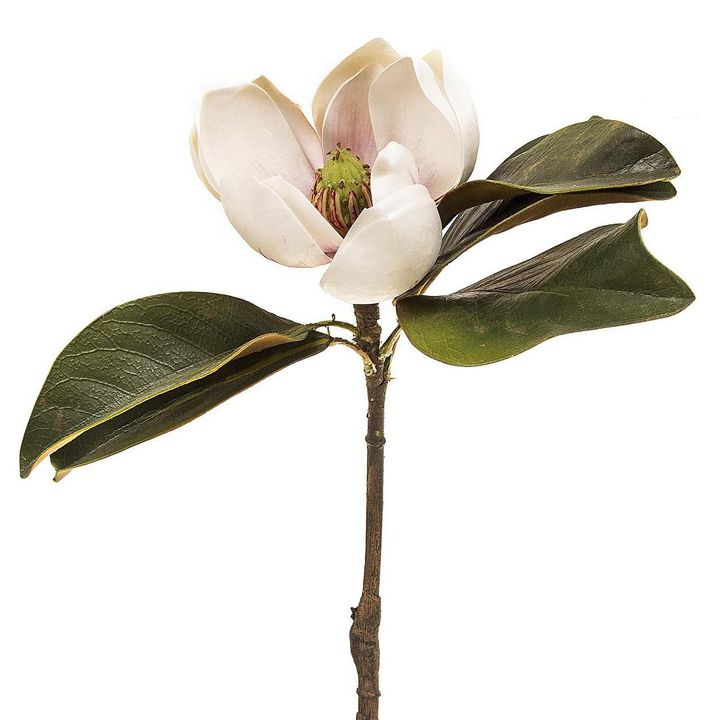 Magnolia Short Stem 60cm Light Pink