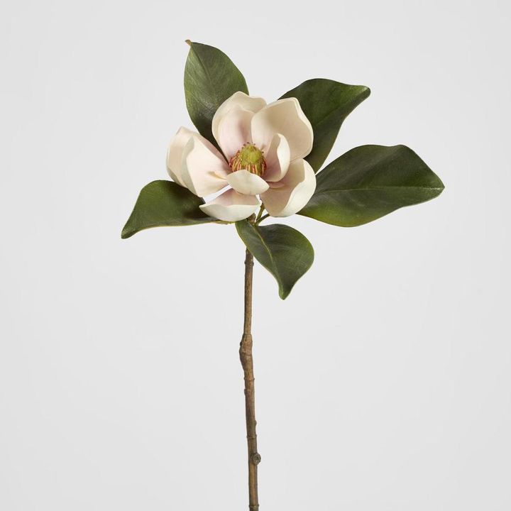Magnolia Short Stem 60cm Light Pink