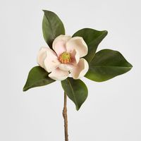 Magnolia Short Stem 60cm Light Pink