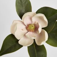 Magnolia Short Stem 60cm Light Pink