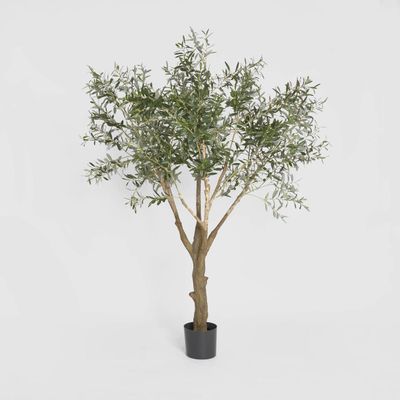 Olive Tree with 3366 Leaves Green 190cm
