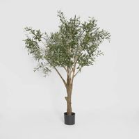 Olive Tree with 3366 Leaves Green 190cm