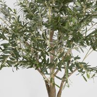 Olive Tree with 3366 Leaves Green 190cm