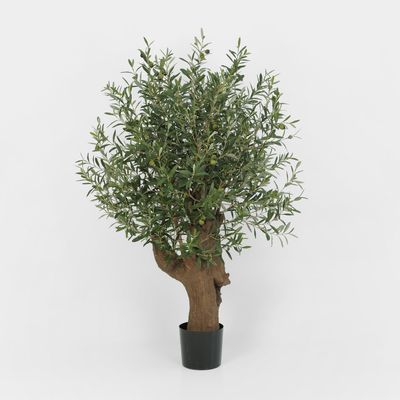 Giant Olive Tree With 3468 Leaves & 42 Fruits Green 110cm