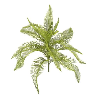 Fern Feather Bush 50cm