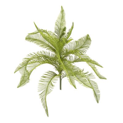 Fern Feather Bush 50cm