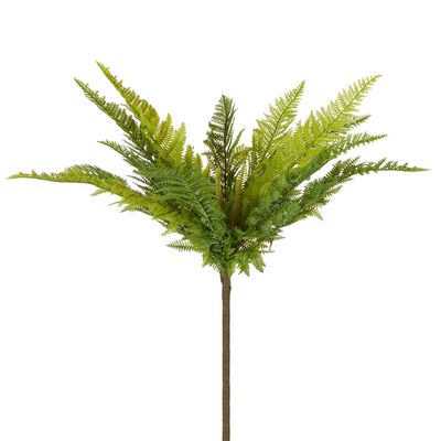 Native Fern Green