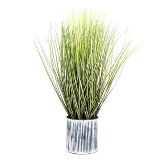 Grass in Pot 64cm