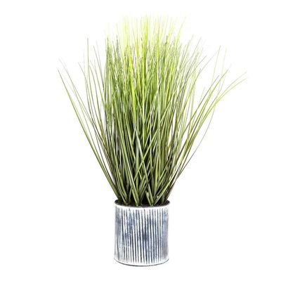 Grass in Pot 64cm