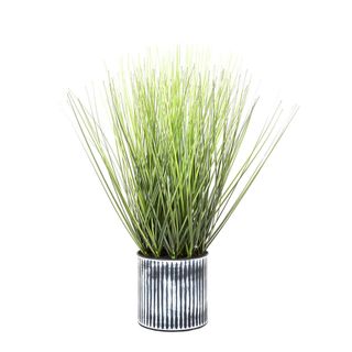 Grass in Pot 48cm
