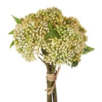 Berry Bundle Cream Green