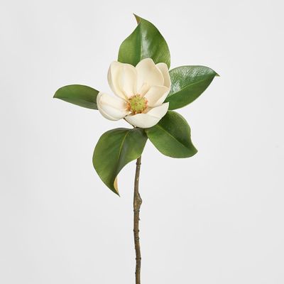 Magnolia Short Stem 60cm White