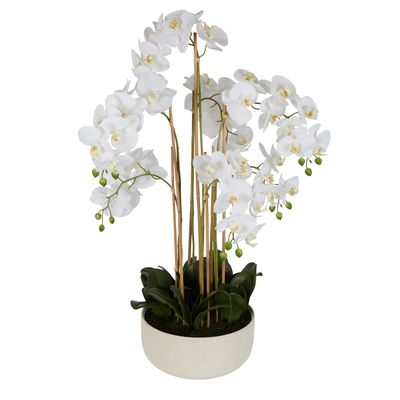 Orchid Potted Real Touch 100cm White