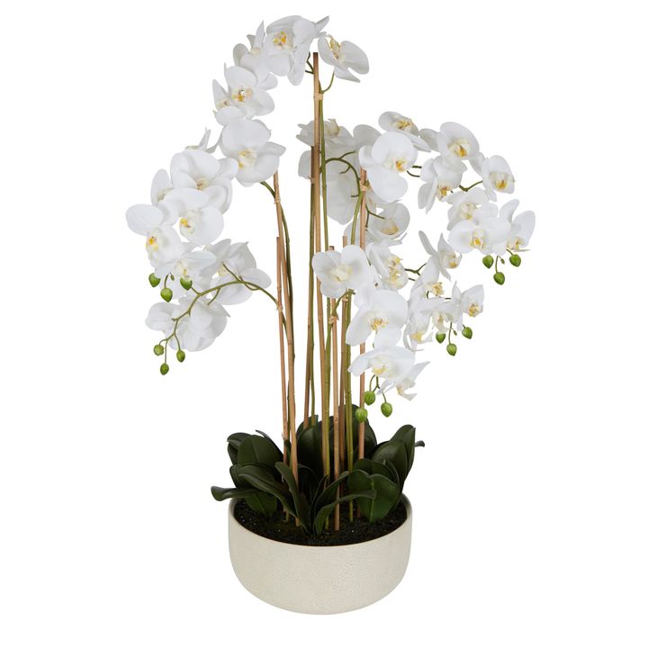 Orchid Potted Real Touch 100cm White