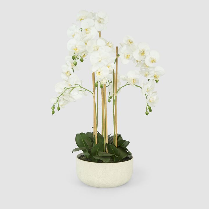 Orchid Potted Real Touch 100cm White