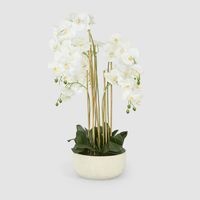 Orchid Potted Real Touch 100cm White