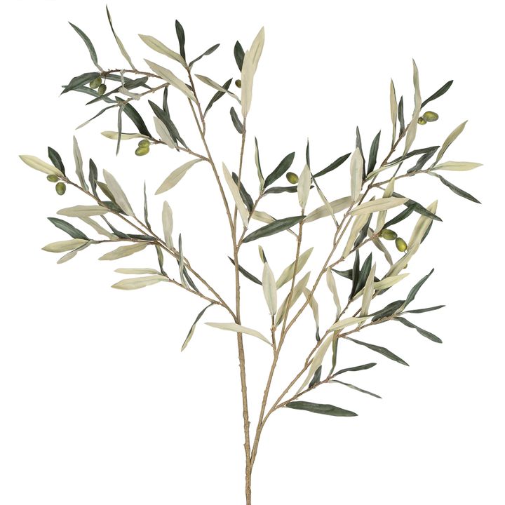 Olive Branch 94cm Green