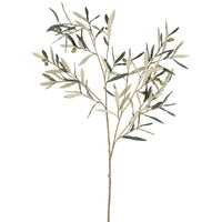 Olive Branch 94cm Green