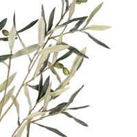 Olive Branch 94cm Green