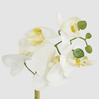 White Orchid in Antiqued Pot Small 30cm