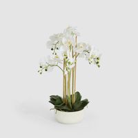 Orchid Potted Real Touch 71cm White