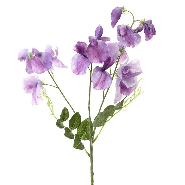 Sweetpea Spray 70cm Lavender